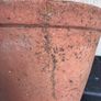 Vintage terracotta flower pot Image 4