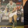 Ireland International Rugby Programs In Good Condition.  See Photos For Image 4