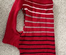 Small dog jumper