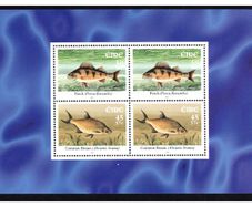 2001 Ireland Freshwater Fish Commemorative Stamps Booklet Pane Mint Never Hinged (MNH. Hibernian HP128