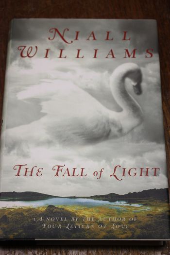 The Fall of Light.