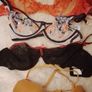 Suspenders and bras Image 4