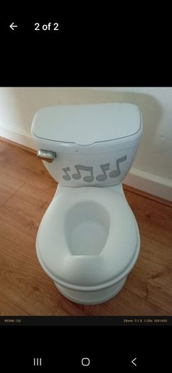 child toilet