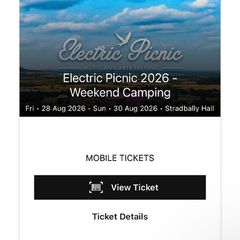electric picnic