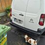 citroen berlingo crewcab 5 seater Image 3