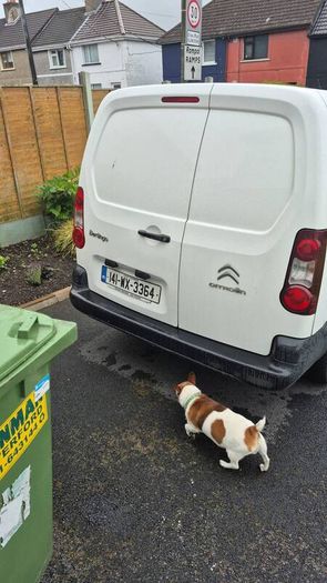 citroen berlingo crewcab 5 seater