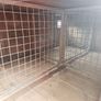 Single Axle Dog Trailer Image 6