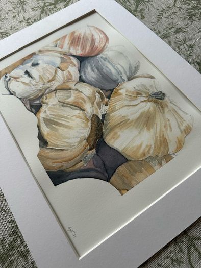 Watercolour - Garlic for Sale