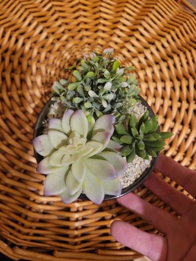 flower vase