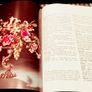 1969. Julia Clements. Gift Book Of Flower Arranging Image 4