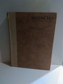 Broncho by Richard Ball Vintage Book