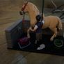 Schleich bath horse set Image 3