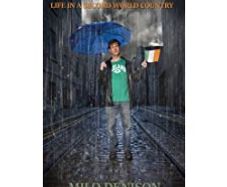 An Expat's Guide To Ireland - Life In A Second World Country (milo Denison)