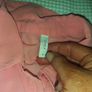 Peach Blouse Image 2