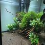 aquarium 90l Image 4