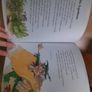 Children's Treasury of Irish Stories and Poems Image 3