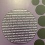 The High Llamas Vinyl Lp Image 3