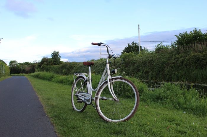 Dutch Style 3 Speed City Bike Hub Gears, Lights & Rear Pedal Brake