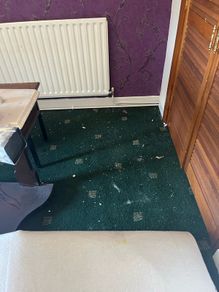 carpet