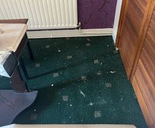 carpet