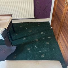 carpet