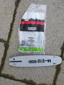 10 inch oregon 91 bar and chain