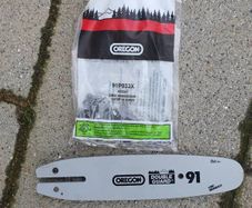 10 inch oregon 91 bar and chain