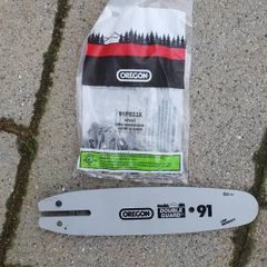 10 inch oregon 91 bar and chain