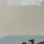 Vintage Myott Staffordshire Large Platter Image 7
