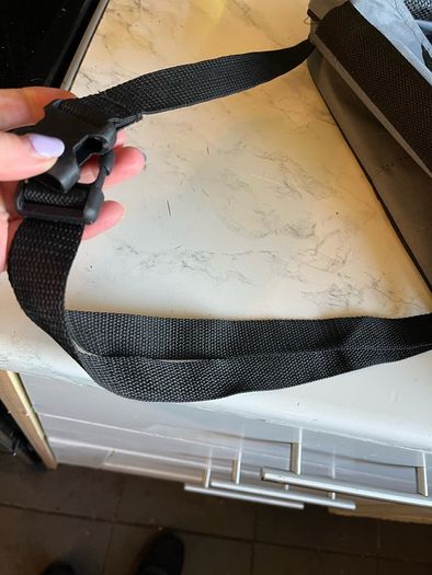 Dog car seat