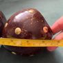 Handmade Vintage Coconut Shell Ashtray Image 4
