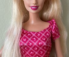 2009 Barbie Doll, Long Hair.