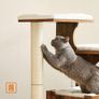 New Medium Cat Tower Play Area - FREE Delivery Image 4