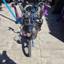 special needs trike. Image 9