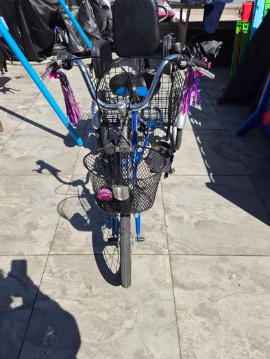special needs trike.
