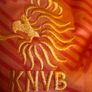 Netherlands jersey as good as new Image 3