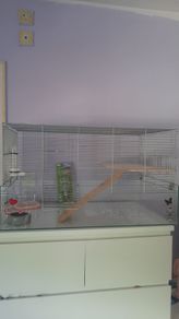 Hamster/Bird Cage