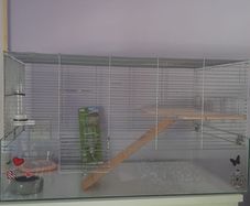 Hamster/Bird Cage