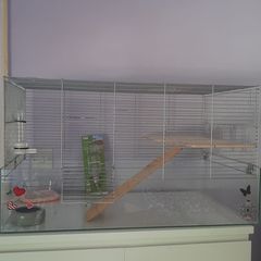 Hamster/Bird Cage