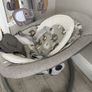 Brand new Joie Serina Swivel Baby Swing Image 3