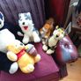 Teddys, soft toys, Teddy Bears. Image 5
