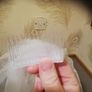 Communion Veil Image 4