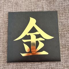 Pokemon Gen 2 Vinyl Record