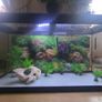 Complete 200L Aquarium Pro-Bundle Image 2