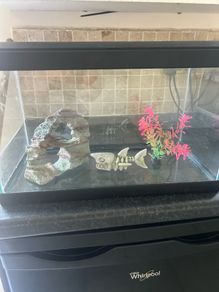 Fish tank