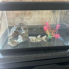 Fish tank