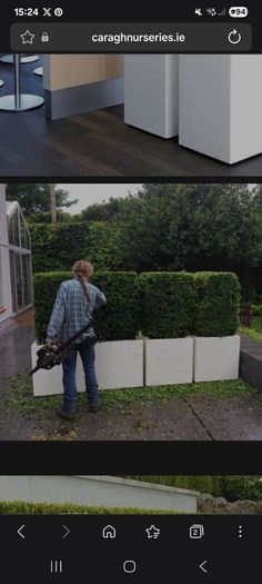 Plant Pot