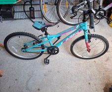 Childs Bike