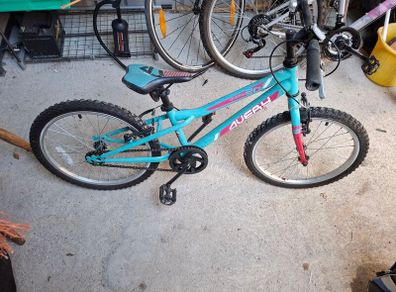 Childs Bike
