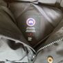 Canada Goose Image 3